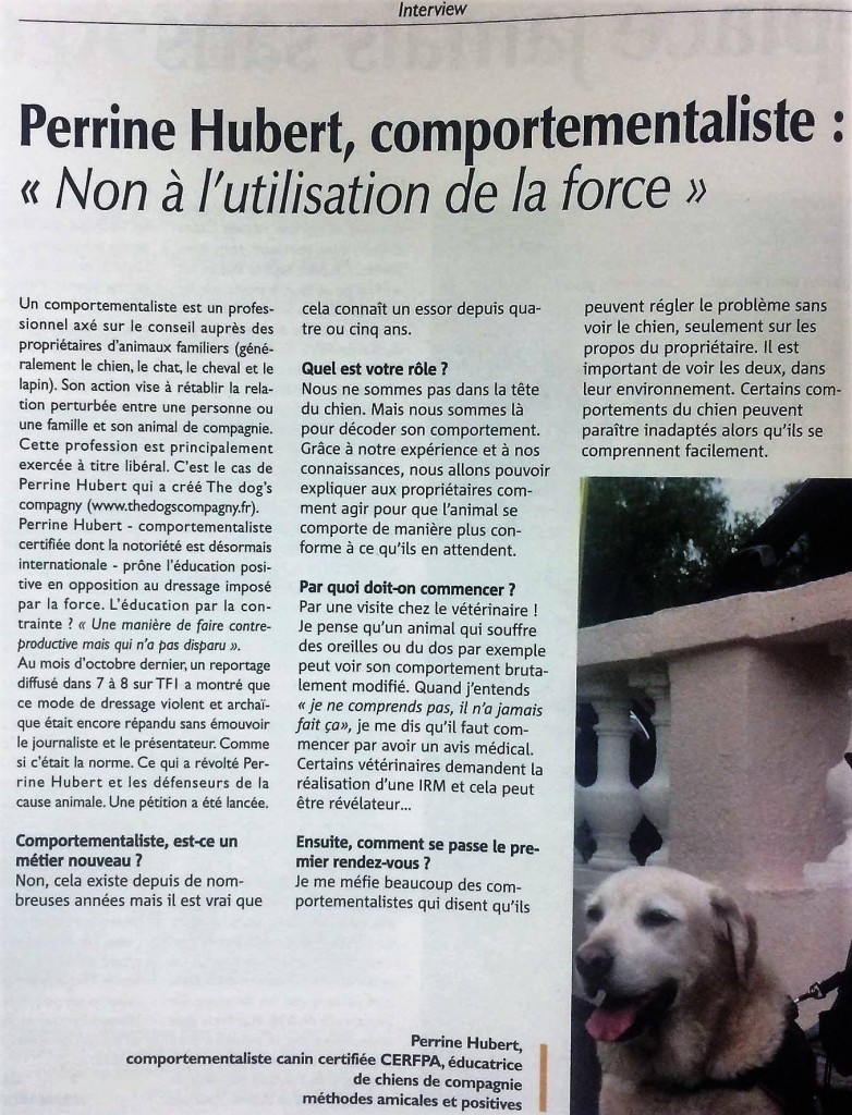 Education canine Gard Presse